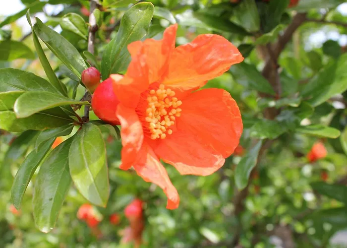 Bed and breakfast Le Sete Bari