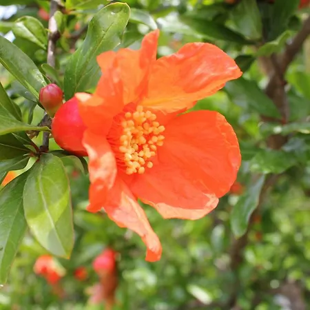 Bed & Breakfast Le Sete Bari